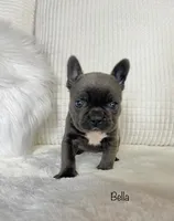 processed/a66ebf62-c070-4ccb-9b29-80ebed96aee1/listing/4b288145-7558-43b0-8dc2-cb53c99e63be/c54dc1e9-14df-48c6-bd34-9342420d56ef