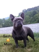 processed/a66ebf62-c070-4ccb-9b29-80ebed96aee1/listing/4b288145-7558-43b0-8dc2-cb53c99e63be/d3792dd8-99e3-4c8a-aba0-7e04b84f2316