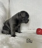 processed/a66ebf62-c070-4ccb-9b29-80ebed96aee1/listing/797e2776-1b2f-42c9-ae6e-dc05b8bb1363/48c30934-f761-4009-8c86-fbd5031ee939