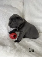 processed/a66ebf62-c070-4ccb-9b29-80ebed96aee1/listing/797e2776-1b2f-42c9-ae6e-dc05b8bb1363/61663694-f952-409c-bf22-ea10facdb10a