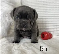 processed/a66ebf62-c070-4ccb-9b29-80ebed96aee1/listing/797e2776-1b2f-42c9-ae6e-dc05b8bb1363/a2d776fb-9b23-4bfe-aaf3-e1f231e07a36