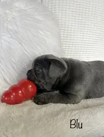 processed/a66ebf62-c070-4ccb-9b29-80ebed96aee1/listing/797e2776-1b2f-42c9-ae6e-dc05b8bb1363/bede8d1a-a4ef-4554-8f4f-7199c649df8f