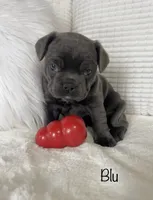 processed/a66ebf62-c070-4ccb-9b29-80ebed96aee1/listing/797e2776-1b2f-42c9-ae6e-dc05b8bb1363/dc8121b9-83a5-4d57-aaec-2c8efcc42668