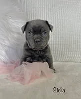 processed/a66ebf62-c070-4ccb-9b29-80ebed96aee1/listing/b99ba3d5-1979-4286-858d-9863db1ecbf4/48b58701-8280-497b-bbd3-01c8809992dc