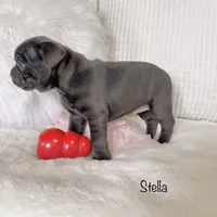 processed/a66ebf62-c070-4ccb-9b29-80ebed96aee1/listing/b99ba3d5-1979-4286-858d-9863db1ecbf4/52966f37-f368-42ac-bcf5-e62c1de0cd63