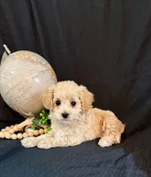 processed/a6748a66-dbb3-4469-9927-27ec21c9f7a4/listing/51ac9860-9e03-4027-a18f-aecdf3809dde/74a5c6f5-ce42-43d2-868f-4c194ac7b78a