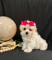 processed/a6748a66-dbb3-4469-9927-27ec21c9f7a4/listing/589ac1bb-c16d-48ab-ac7a-ac09edc412e2/5b88dd11-fc52-4fcb-9d23-515313437e07