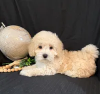 processed/a6748a66-dbb3-4469-9927-27ec21c9f7a4/listing/b39ba735-4b61-40c5-9907-de6dda4058c7/791f9e1f-eecc-4742-a1dd-3f3df922b2ec