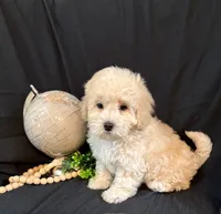 processed/a6748a66-dbb3-4469-9927-27ec21c9f7a4/listing/b39ba735-4b61-40c5-9907-de6dda4058c7/c8c450fe-66c2-4acb-8a0d-106630798985