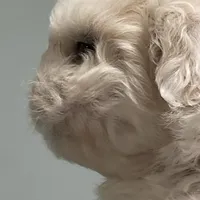 processed/a6749b89-1e1f-4491-808a-3b1fce402eb0/facility/3d02932b-1c65-4885-85ff-76cc1c7c1154