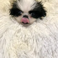 processed/a6749b89-1e1f-4491-808a-3b1fce402eb0/facility/5bf38659-84c1-4e95-9e26-5261c468e1d7