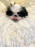 processed/a6749b89-1e1f-4491-808a-3b1fce402eb0/facility/5bf38659-84c1-4e95-9e26-5261c468e1d7