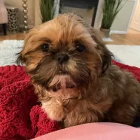 processed/a6749b89-1e1f-4491-808a-3b1fce402eb0/facility/ab8e9a08-a11a-43bc-b168-c7d81b5e6750