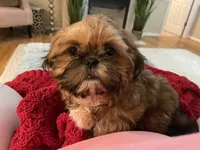 processed/a6749b89-1e1f-4491-808a-3b1fce402eb0/facility/ab8e9a08-a11a-43bc-b168-c7d81b5e6750