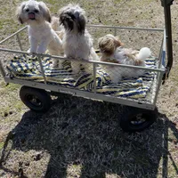 processed/a6749b89-1e1f-4491-808a-3b1fce402eb0/facility/b9b11dd1-3caf-4b41-bab9-0db2ec45602f