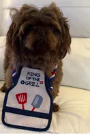 Fudge , a male Shih Tzu for sale in Colonial Beach, VA – Photo 6 of 9