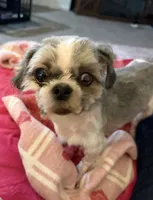 processed/a6749b89-1e1f-4491-808a-3b1fce402eb0/listing/94cc6809-0295-4e78-b631-0ce53ca61820/089efe41-07ba-4b62-8632-e561b4b19a45