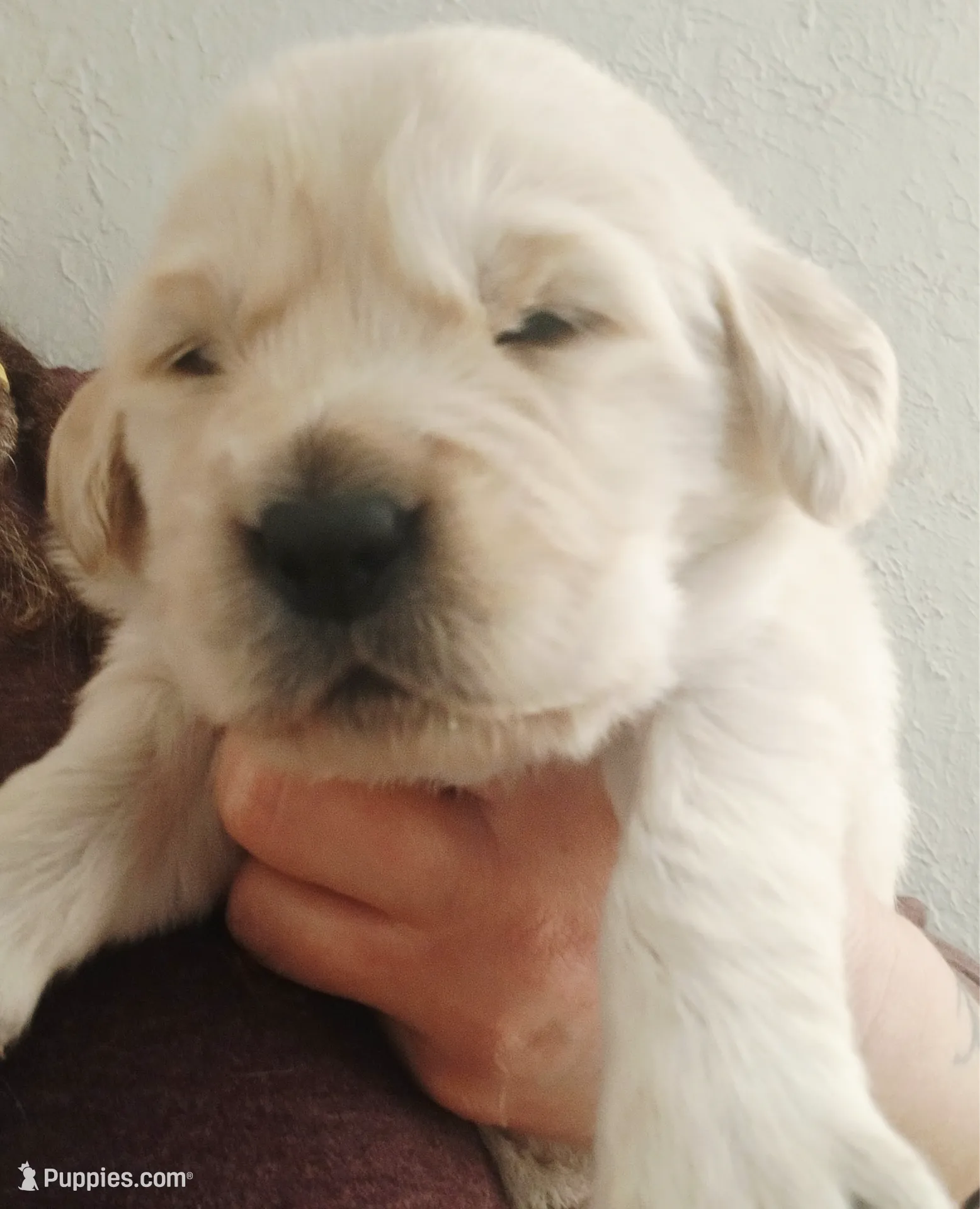 processed/a67ba307-a085-4c53-9bdb-94e4e04dfc83/listing/15391702-fb82-4950-ab25-cbe157e17d0e/0f59ef5b-be1b-4751-9644-a1b3830f26ce