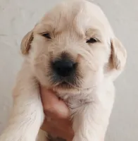 processed/a67ba307-a085-4c53-9bdb-94e4e04dfc83/listing/1a9df96a-4ca4-4076-aefc-d58ccd2a8fcb/40cbec57-9ef1-46eb-b31c-6d1d0bbd20e3