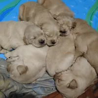 processed/a67ba307-a085-4c53-9bdb-94e4e04dfc83/listing/1a9df96a-4ca4-4076-aefc-d58ccd2a8fcb/78a90516-9105-4b6c-b85d-9748ab184fa3