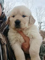 processed/a67ba307-a085-4c53-9bdb-94e4e04dfc83/listing/5ad187d4-d3a4-493a-a53b-4381094e0e14/40f606df-942a-4a3f-9066-493b60b47c1e