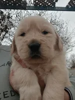 processed/a67ba307-a085-4c53-9bdb-94e4e04dfc83/listing/5ad187d4-d3a4-493a-a53b-4381094e0e14/4924123c-eb97-45c3-9f60-dec4940684c4