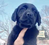 processed/a67ba307-a085-4c53-9bdb-94e4e04dfc83/listing/6454da5b-d20f-40d3-a226-6265d6ddce26/82bcfaf1-5cbe-4d5e-96e7-d68ad781034d