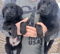 processed/a67ba307-a085-4c53-9bdb-94e4e04dfc83/listing/6454da5b-d20f-40d3-a226-6265d6ddce26/e83202da-fb65-41c6-9c0e-62118a4624f8