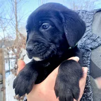 processed/a67ba307-a085-4c53-9bdb-94e4e04dfc83/listing/653462d6-eebc-404d-b8ad-e4e156122c52/d513cac1-3188-4e22-9bc7-15d8efaf59a2