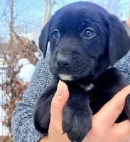 processed/a67ba307-a085-4c53-9bdb-94e4e04dfc83/listing/653462d6-eebc-404d-b8ad-e4e156122c52/f7e8646e-9ce4-4dd4-9ca9-5dce6495d8c1