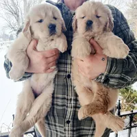 processed/a67ba307-a085-4c53-9bdb-94e4e04dfc83/listing/73154ab1-405c-4786-ba38-1726f880b98e/215e79c3-fdc8-49b6-b94d-9b8b4fa5d9bf