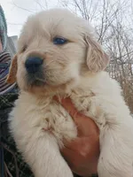 processed/a67ba307-a085-4c53-9bdb-94e4e04dfc83/listing/73154ab1-405c-4786-ba38-1726f880b98e/38f91f37-6a7a-42d7-a199-d8c01ea7f49a