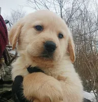 processed/a67ba307-a085-4c53-9bdb-94e4e04dfc83/listing/c888e4fd-cfd7-4a9a-9bf6-1374f7d4efe1/1f493340-fa46-4abc-9085-df887e6967fe