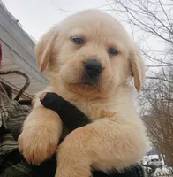 processed/a67ba307-a085-4c53-9bdb-94e4e04dfc83/listing/c888e4fd-cfd7-4a9a-9bf6-1374f7d4efe1/4c1ecf3c-f42e-4e64-a305-7f203fe289c1