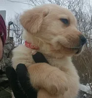 processed/a67ba307-a085-4c53-9bdb-94e4e04dfc83/listing/c888e4fd-cfd7-4a9a-9bf6-1374f7d4efe1/71030384-5457-4065-b3b9-643170a2e33c