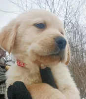 processed/a67ba307-a085-4c53-9bdb-94e4e04dfc83/listing/c888e4fd-cfd7-4a9a-9bf6-1374f7d4efe1/af983341-10c1-46e6-9de0-6baac418e0a3