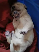 processed/a67ba307-a085-4c53-9bdb-94e4e04dfc83/listing/c888e4fd-cfd7-4a9a-9bf6-1374f7d4efe1/b720b208-4379-44ae-bf7b-93c335c7ef33