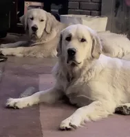 processed/a67ba307-a085-4c53-9bdb-94e4e04dfc83/listing/c888e4fd-cfd7-4a9a-9bf6-1374f7d4efe1/bf7e0fcc-575b-472a-b787-72ab561a1b3d