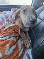 processed/a67de613-a3ad-4446-ae3e-d2bf6a89d5ad/listing/5f65d181-29e6-4b76-ae04-29a7d64b67a8/c45f822a-380f-4e02-ba36-ce8a91c94895