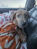 processed/a67de613-a3ad-4446-ae3e-d2bf6a89d5ad/listing/5f65d181-29e6-4b76-ae04-29a7d64b67a8/e350867a-c233-491e-bdc0-7906c685abb0