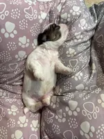 processed/a68eb1ca-9c9c-4f38-b300-3a328d5f66e7/listing/2bfd9499-0996-4038-9d50-629ea5eb939d/203e8aee-efb8-45d0-8a40-016944e3e7c1