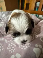 processed/a68eb1ca-9c9c-4f38-b300-3a328d5f66e7/listing/2bfd9499-0996-4038-9d50-629ea5eb939d/6f45cc9e-39bd-4588-98db-4d3ca7bd4420