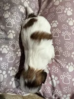 processed/a68eb1ca-9c9c-4f38-b300-3a328d5f66e7/listing/2bfd9499-0996-4038-9d50-629ea5eb939d/cb16dcef-521d-4380-96a3-a407b4dd9768