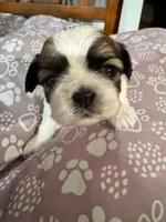 processed/a68eb1ca-9c9c-4f38-b300-3a328d5f66e7/listing/2bfd9499-0996-4038-9d50-629ea5eb939d/d90906c7-9a52-43a2-8c51-197b71e4f780