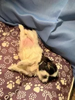 processed/a68eb1ca-9c9c-4f38-b300-3a328d5f66e7/listing/370d092c-0d2f-4bcf-9826-e1cc24547197/1ea4fffd-e5b7-4e1f-a430-0e468c675b89