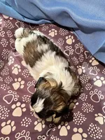 processed/a68eb1ca-9c9c-4f38-b300-3a328d5f66e7/listing/370d092c-0d2f-4bcf-9826-e1cc24547197/ba7e3812-766d-4d35-afe4-02c4199e0677