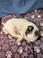 processed/a68eb1ca-9c9c-4f38-b300-3a328d5f66e7/listing/3d913c4a-5815-4f0f-9150-99c5329d4e85/47f7dcb9-633a-408f-88fc-1a85f685c081