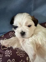 processed/a68eb1ca-9c9c-4f38-b300-3a328d5f66e7/listing/3d913c4a-5815-4f0f-9150-99c5329d4e85/ec7cfc12-d984-4f73-95b5-a99d93ba4b48