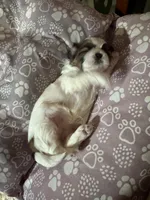 processed/a68eb1ca-9c9c-4f38-b300-3a328d5f66e7/listing/9afa5a82-574e-4e38-bf31-d8454d9e1c8d/3174340c-ddc5-42ae-9ecb-a9dac0625d6b