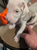 processed/a68eb1ca-9c9c-4f38-b300-3a328d5f66e7/listing/e840a778-67d1-44de-ad50-74105e33eb3a/c6dc1547-9f88-4b49-90d5-74907baf0f5c